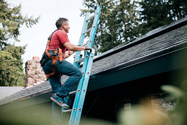 Best Solar Panel Roofing Installation  in Monona, WI